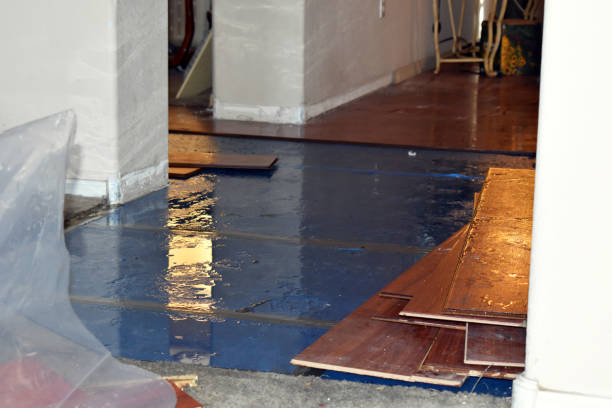 Professional Water Damage Restoration technician working in Linden, AL